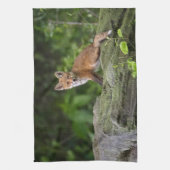 Kutest Baby Animals | Foxy Smile Theedoek (Verticaal)