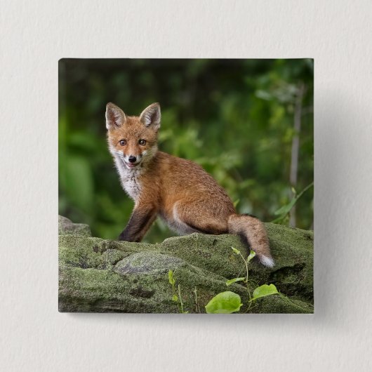 Kutest Baby Animals | Foxy Smile Vierkante Button 5,1 Cm (Voorkant)