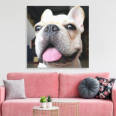 Kutest Baby Animals | Frans Bulldog Face Canvas Afdruk (Insitu (Woonkamer))
