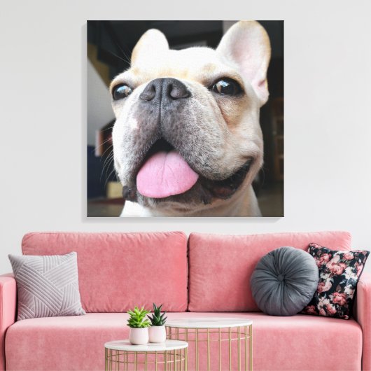 Kutest Baby Animals | Frans Bulldog Face Canvas Afdruk (Insitu (Woonkamer))