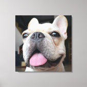 Kutest Baby Animals | Frans Bulldog Face Canvas Afdruk (Voorkant)