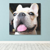 Kutest Baby Animals | Frans Bulldog Face Canvas Afdruk (Insitu (Houten vloer))