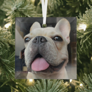 Kutest Baby Animals Frans Bulldog Face Glas Ornament