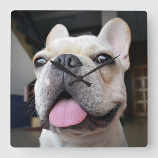 Kutest Baby Animals | Frans Bulldog Face Vierkante Klok (Voorkant)