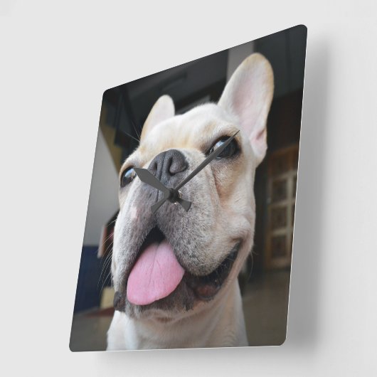 Kutest Baby Animals | Frans Bulldog Face Vierkante Klok (Hoek)