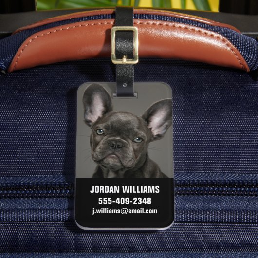 Kutest Baby Animals | Franse Bulldog Bagagelabel (Voorkant Insitu 2)