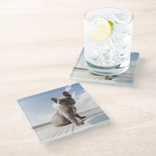 Kutest Baby Animals   Franse Bulldog Boating Glazen Onderzetter