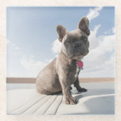 Kutest Baby Animals | Franse Bulldog Boating Glazen Onderzetter (Voorkant)