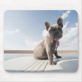 Kutest Baby Animals | Franse Bulldog Boating Muismat (Voorkant)