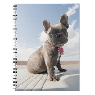 Kutest Baby Animals Franse Bulldog Boating Notitieboek