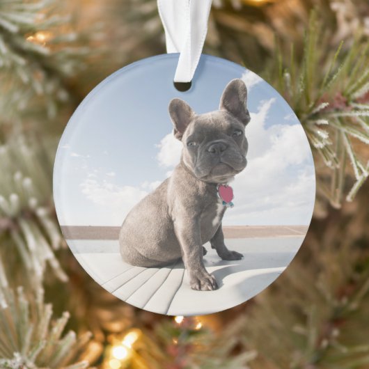 Kutest Baby Animals | Franse Bulldog Boating Ornament (Boom)