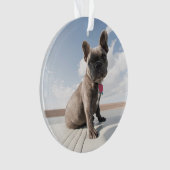 Kutest Baby Animals | Franse Bulldog Boating Ornament (voorkant)