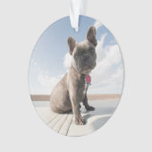 Kutest Baby Animals | Franse Bulldog Boating Ornament (voorkant)