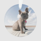 Kutest Baby Animals | Franse Bulldog Boating Ornament (voorkant)