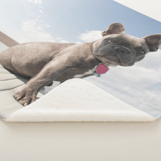 Kutest Baby Animals | Franse Bulldog Boating Sherpa Deken (3/4)