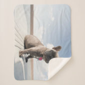 Kutest Baby Animals | Franse Bulldog Boating Sherpa Deken (Voorkant)