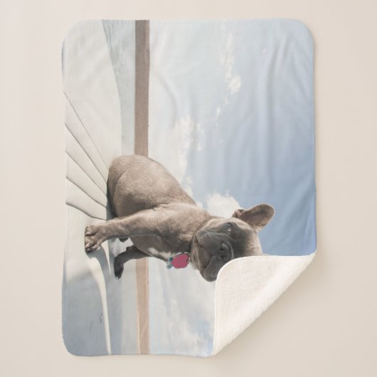 Kutest Baby Animals | Franse Bulldog Boating Sherpa Deken (Voorkant)