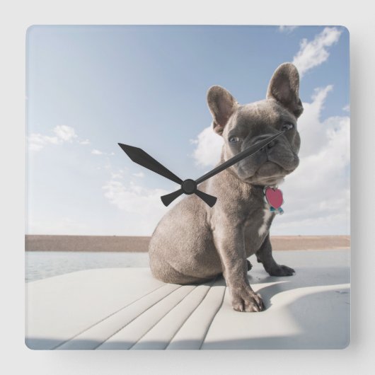 Kutest Baby Animals | Franse Bulldog Boating Vierkante Klok (Voorkant)