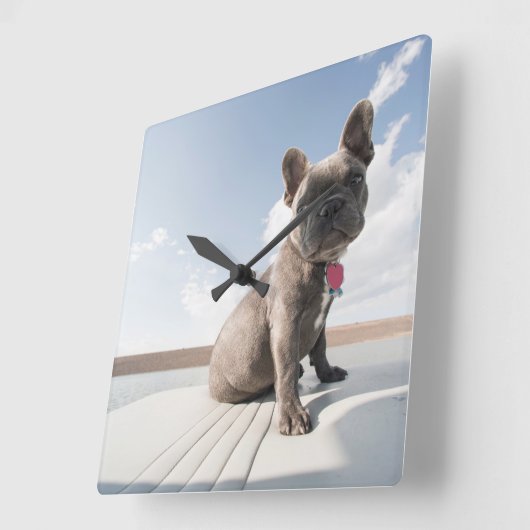 Kutest Baby Animals | Franse Bulldog Boating Vierkante Klok (Hoek)