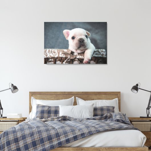 Kutest Baby Animals | Franse Bulldog Canvas Afdruk (Insitu (Slaapkamer))
