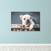 Kutest Baby Animals | Franse Bulldog Canvas Afdruk (Insitu (Houten vloer))