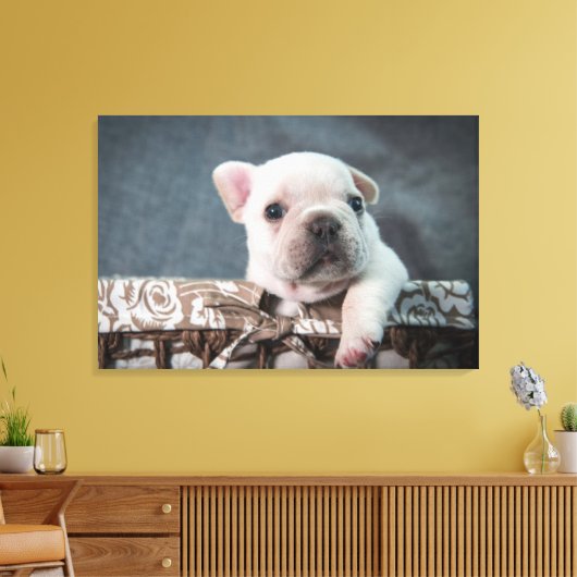 Kutest Baby Animals | Franse Bulldog Canvas Afdruk (Insitu (Woonkamer))