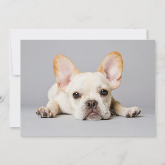 Kutest Baby Animals | Franse Bulldog Down Bedankkaart (Voorkant)