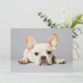 Kutest Baby Animals | Franse Bulldog Down Bedankkaart (Staand voorkant)