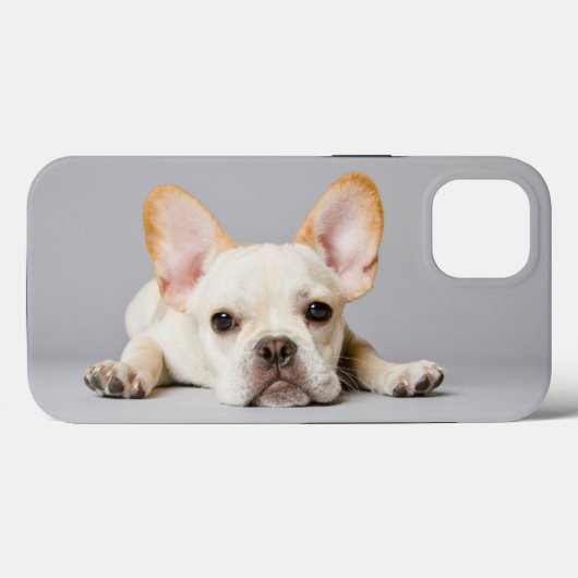 Kutest Baby Animals | Franse Bulldog Down Case-Mate iPhone Case (Achterkant (horizontaal))