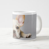 Kutest Baby Animals | Franse Bulldog Down Grote Koffiekop (Voorkant rechts)