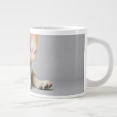 Kutest Baby Animals | Franse Bulldog Down Grote Koffiekop (Rechts)