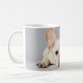 Kutest Baby Animals | Franse Bulldog Down Koffiemok (Links)