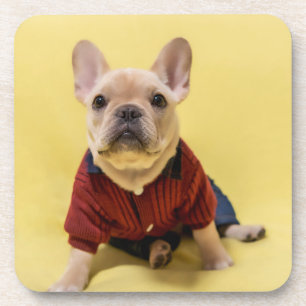 Kutest Baby Animals   Franse Bulldog Dpress Bier Onderzetter