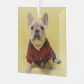 Kutest Baby Animals | Franse Bulldog Dpress Glas Ornament (Voorkant links)