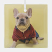 Kutest Baby Animals | Franse Bulldog Dpress Glas Ornament (Voorkant)