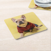 Kutest Baby Animals | Franse Bulldog Dpress Kartonnen Onderzetters (Schuin)
