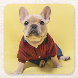 Kutest Baby Animals   Franse Bulldog Dpress Kartonnen Onderzetters