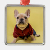 Kutest Baby Animals | Franse Bulldog Dpress Metalen Ornament (Voorkant)