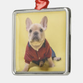 Kutest Baby Animals | Franse Bulldog Dpress Metalen Ornament (Links)