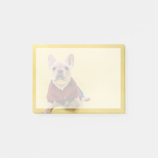 Kutest Baby Animals | Franse Bulldog Dpress Post-it® Notes (Voorkant)