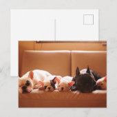 Kutest Baby Animals | Franse Bulldog Familie Briefkaart (Voorkant / Achterkant)