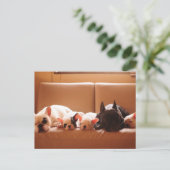 Kutest Baby Animals | Franse Bulldog Familie Briefkaart (Staand voorkant)