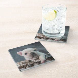 Kutest Baby Animals   Franse Bulldog Glazen Onderzetter
