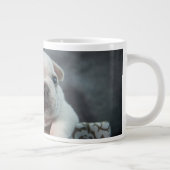 Kutest Baby Animals | Franse Bulldog Grote Koffiekop (Rechts)