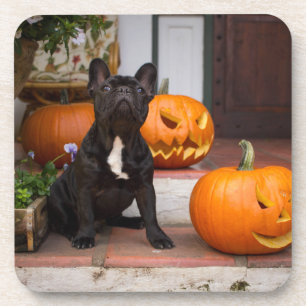 Kutest Baby Animals   Franse Bulldog Halloween Bier Onderzetter