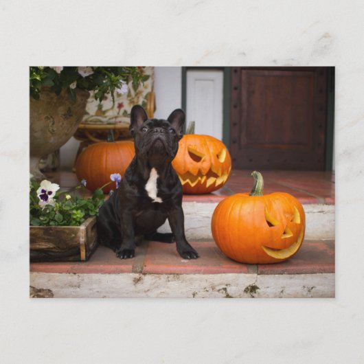 Kutest Baby Animals | Franse Bulldog Halloween Briefkaart (Voorkant)