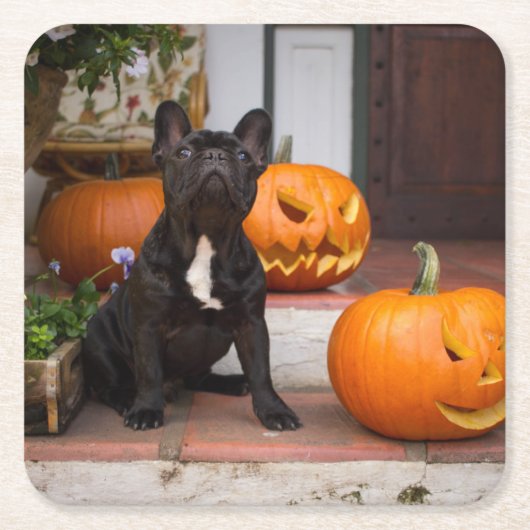 Kutest Baby Animals | Franse Bulldog Halloween Kartonnen Onderzetters (Voorkant)