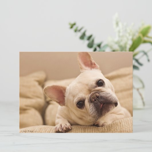 Kutest Baby Animals | Franse Bulldog Head Tilt Bedankkaart (Staand voorkant)