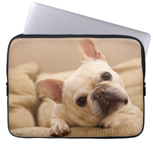 Kutest Baby Animals   Franse Bulldog Head Tilt Laptop Sleeve