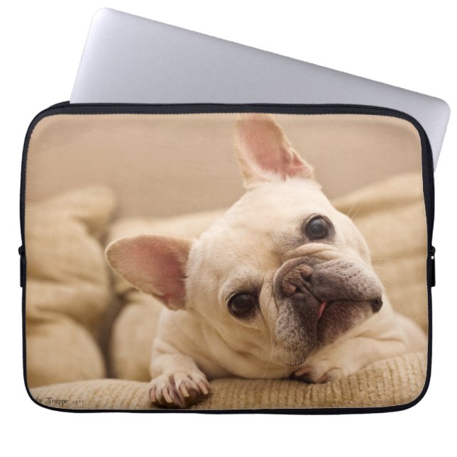 Kutest Baby Animals | Franse Bulldog Head Tilt Laptop Sleeve (Voorkant)